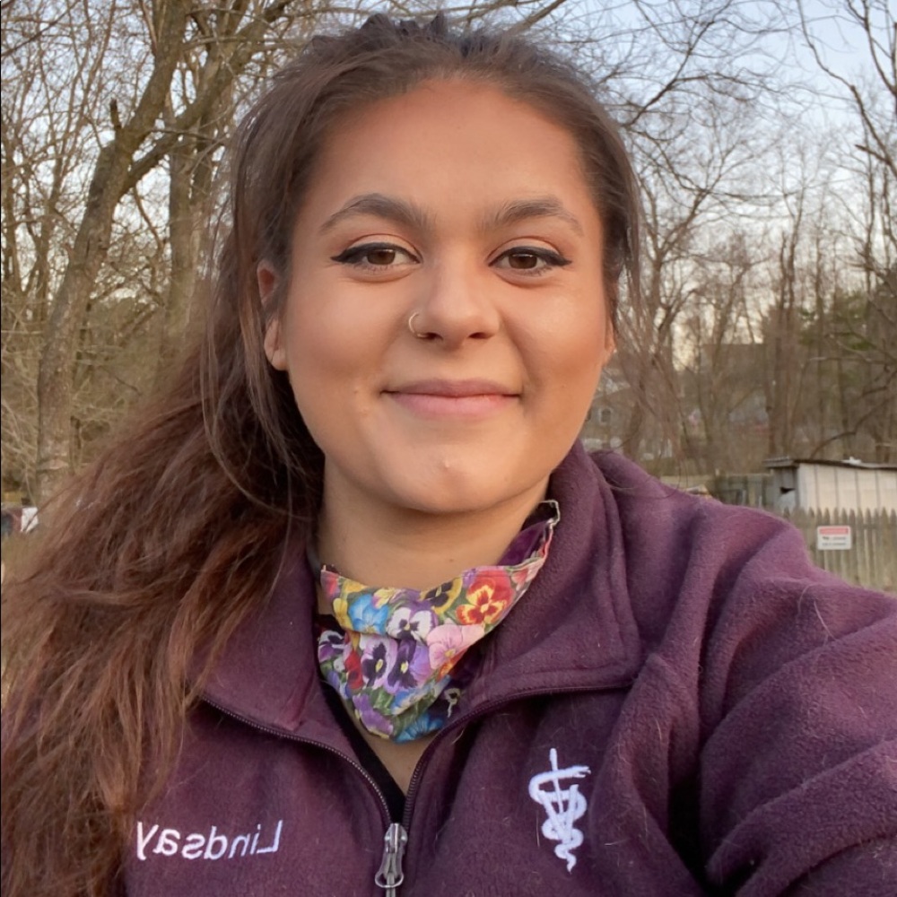 Meet your Posher, Lindsay